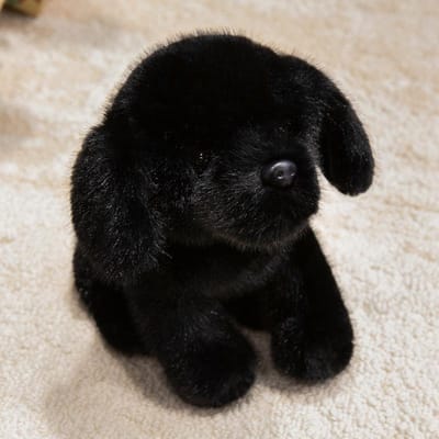 10 Stijlen Kawaii Levensgetrouwe Shiba Inu Hond Pluche Speelgoed Zacht Lief Knuffelig Husky Labrador Puppy Speelgoed Verjaardagscadeau voor Kinderen Kinderen 30cm zwart