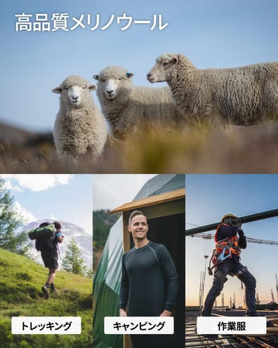 DANISH ENDURANCE Wandelsokken - Ademend Merino Wol met Blarenbescherming - Unisex - 1 Paar - Maat 39-42