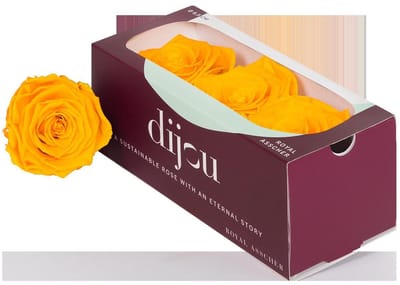 3x Dc pres.rozen gold yellow