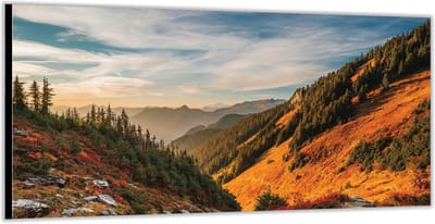 Dibond –Bergen met Bomen en Zon – 200x100 Foto op Aluminium (Wanddecoratie van metaal)
