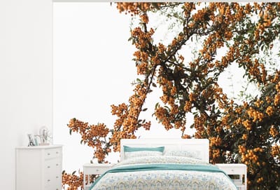 Behang - Fotobehang Bloemen - Takken - Natuur - Breedte 275 cm x hoogte 220 cm