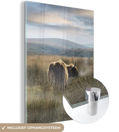 MuchoWow® Glasschilderij 120x160 cm - Schilderij acrylglas - Schotse Hooglanders - Mist - Gras - Foto op glas - Schilderijen