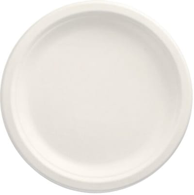 10x 50 Borden van suikerriet pure 1-vaks Ø 23 cm · 2 cm wit