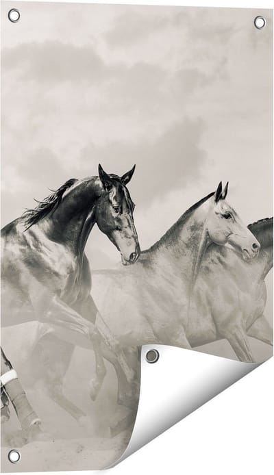 Gards Tuinposter Vier Paarden naast Elkaar - Zwart Wit - 40x60 cm - Tuindoek - Tuindecoratie - Wanddecoratie buiten - Tuinschilderij