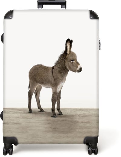 NoBoringSuitcases.com® - Koffer groot - Reiskoffer lichtgewicht - Ezel - Jong - Hoeven - Kinderen - Rolkoffer met 4 wielen - Grote trolley XL - 98 liter bagage