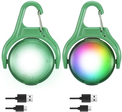Dailygoods - Oplaadbare Lichtgevende Halsband voor Honden met 3 Knippermodi