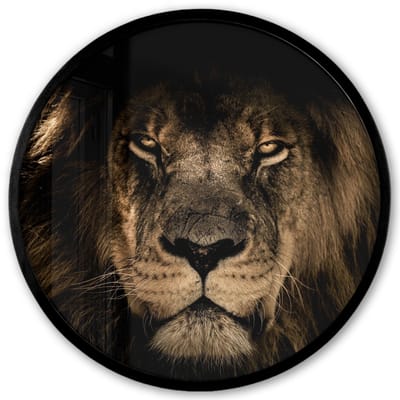 Poster in lijst Rond - Fotolijst 40x40 cm - Posters - Leeuw - Dieren - Zwart - Portret - Ronde posterlijst zwart - Decoratie - Wanddecoratie woonkamer - Muurdecoratie slaapkamer