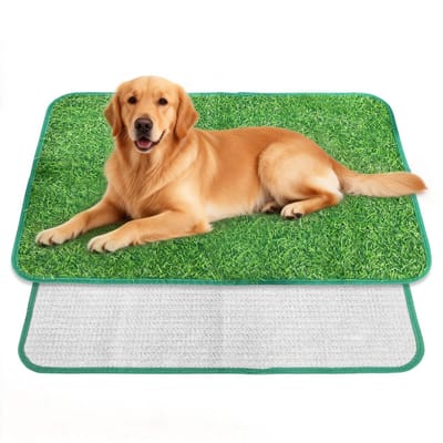 Dailygoods- Hondentoilet Herbruikbaar Kunstgras - Hondentoilet Balkon - Hondentoilet voor Puppy’s - Compacte Afmetingen 46x70cm - Antislip Onderkant - Lichtgewicht en Draagbaar - Hondenwc