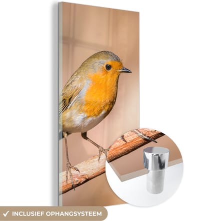 MuchoWow® Glasschilderij 20x40 cm - Schilderij acrylglas - Vogel - Tak - Roodborstje - Foto op glas - Schilderijen