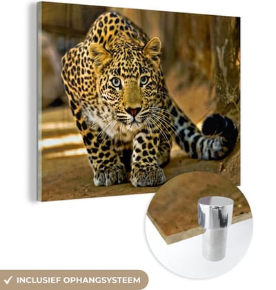 MuchoWow® Glasschilderij 120x90 cm - Schilderij acrylglas - Luipaard - Roofdier - Portret - Foto op glas - Schilderijen