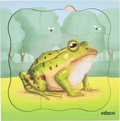 Groeipuzzel bos - Kikker