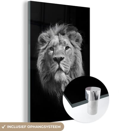MuchoWow® Glasschilderij 120x180 cm - Schilderij acrylglas - Leeuw - Portret - Zwart - Wit - Foto op glas - Schilderijen