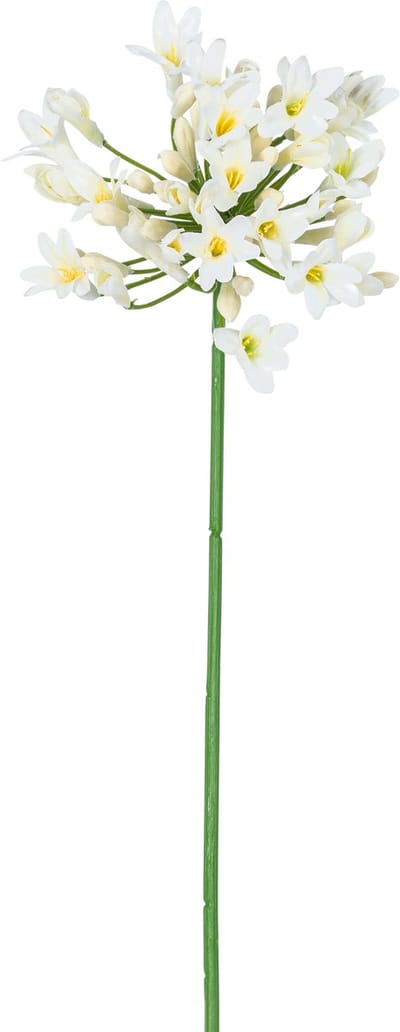 Easyplants | Kunstbloem Agapanthus 77 cm wit | Zijde | Nepbloemen | wit | Onderhoudsvrij | Kant-en-klaar