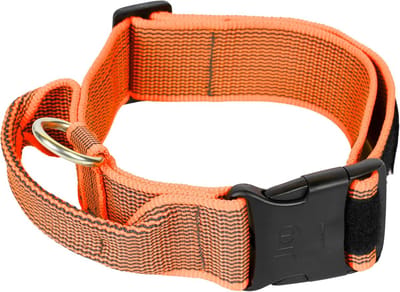 Halsband met Handvat, Veiligheidsslot en Verwisselbare Labels voor Honden - 50 mm (49-70 cm), Oranje-Grijs