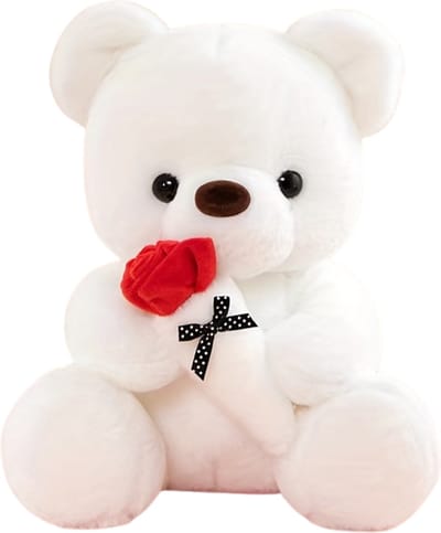Livano Teddybeer - Knuffelbeer - I Love You - Klein - 12 Jaar En Ouder - Schattige Knuffels - Bloemen - Wit