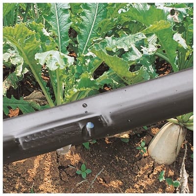 Druppelslang - Irrigatieslang - Planten Water Geven - Weerbestendig Materiaal - 25 Meter - Zwart