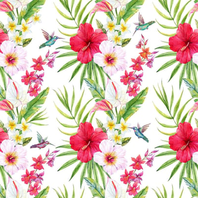 Fotobehang Colibri1 DD116608 A.S. Création Greenery Groen Rood Vlies 260 x 260 cm (2 Teile) Goedkoop fotobehang
