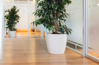 Duurzame Smartpot Ruby bloempot 66L wit met watergeefsysteem en drainage
