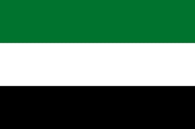 Vlag Verenigde Arabische Emiraten 70x100cm