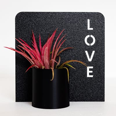 Mini Bloempotje met Tekstplaatje (12×12 cm) – LOVE – Duurzaam Cadeau voor Airplantjes, Vetplantjes & Cactussen - 3D-geprint