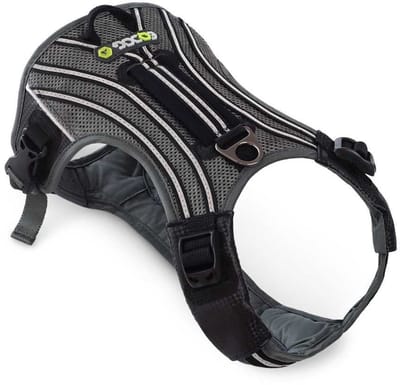 EQDOG Hondentuig Pro Harness Zwart Maat XS