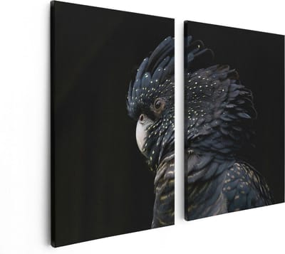 Artaza Canvas Schilderij Tweeluik Zwarte Kaketoe - 80x60 - Foto Op Canvas - Canvas Print