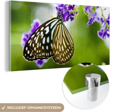 MuchoWow® Glasschilderij 40x20 cm - Schilderij acrylglas - Lavendel - Vlinder - Botanisch - Foto op glas - Schilderijen