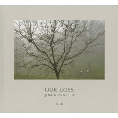 Joel Sternfeld: Our Loss - Joel Sternfeld