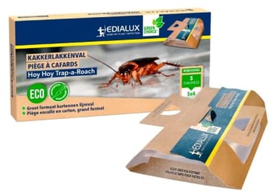 Edialux GreenChoice Hoy-hoy Kakkerlakkenval (5 stuks) - Effectieve Insectenval - Met gratis cheatsheet