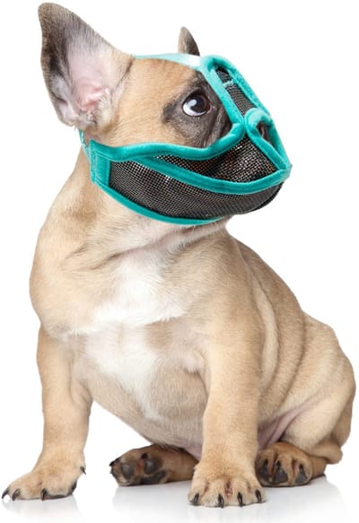 Dailygoody - Verstelbare Hond Muilkorf - Anti-Bijt Snuit - Ademend Ontwerp - Korte Snuit - Geschikt voor Bulldog - Inclusief 1 Snuit