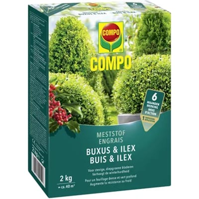 Compo Meststof Buxus & Ilex 2kg