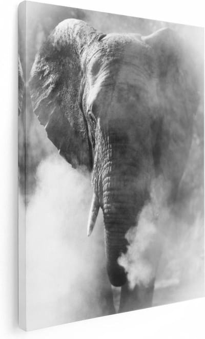 Artaza Canvas Schilderij Dierenkop Olifant - 30x40 cm - Klein - Wanddecoratie Woonkamer - Muurdecoratie Dieren - Kamer Accessoires