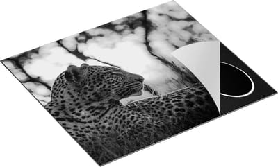 Chefcare Inductie Beschermer Luipaard tijdens de Zonsondergang - Zwart Wit - 60x50 cm - Afdekplaat Inductie - Kookplaat Beschermer - Inductie Mat