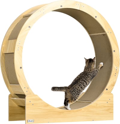 PawHut Katzenlaufrad Laufrad für Katzen 91 cm mit Bremse, Kratzbrett, Katzenrad für gesunde Bewegung, Entspannung, Eiche