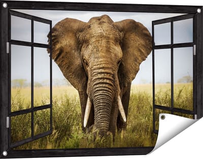 Gards Tuinposter Doorkijk Olifant in het Wild - Kleur - 90x60 cm - Tuindoek - Tuindecoratie - Wanddecoratie buiten - Tuinschilderij