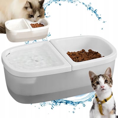 Pingyang Rongrong - Voerbak - Fontein - 2-in-1 - USB