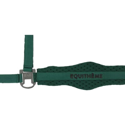 Halster voor paarden Equithème 3D Mesh