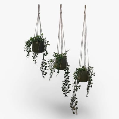 Voordeelset van 3 Plantenhangers - Zonder Kwast - Jute - 60, 80 en 100 cm - Handgemaakt in ons Macramé Atelier - 3 Stuks - Let op: Exclusief Pot - Inclusief Verzendkosten