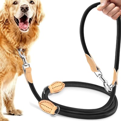 Verstelbare Hondenriem van 2,1 meter van Dikke Nylon - Handenvrije Installatie met 2 Karabiners, Geschikt voor Grote Honden en Dubbele Hondenriem voor 2 Honden