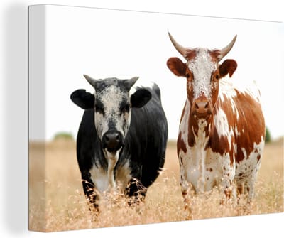 Canvas - Koeien - Landschap - Natuur - Wanddecoratie - Schilderij op canvas - 30x20 cm - Woonkamer