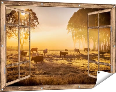 Gards Tuinposter Doorkijk Kudde Koeien in de Wei met Zonsopkomst - 120x80 cm - Tuindoek - Tuindecoratie - Wanddecoratie buiten - Tuinschilderij