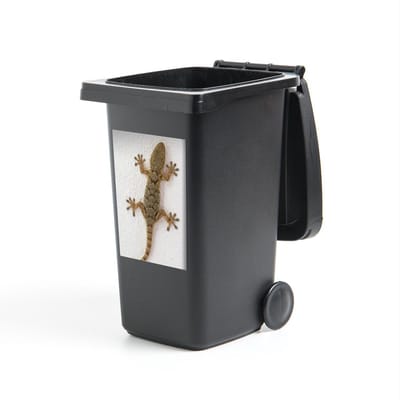 Container sticker Gecko - Tarentola gekko uit Mallorca - 40x60 cm - kliko sticker - weerbestendige containersticker