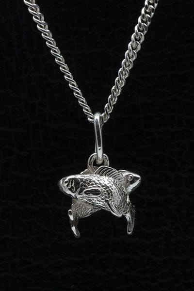 Zilveren Sterrenbeeld Vissen ketting hanger - klein