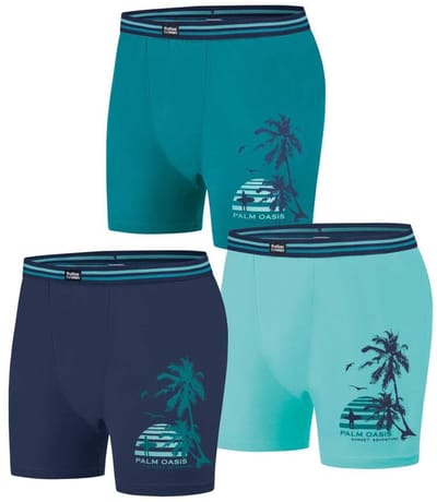 ATLAS FOR MEN - Set van 3 boxershorts Summer - Heren - Verkrijgbaar in grote maten - 3XL