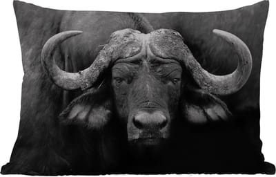 Buitenkussens - Tuin - Dieren - Buffalo - Zwart - Wit - Portret - 50x30 cm
