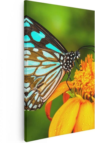 Artaza Canvas Schilderij Vlinder - 40x60 cm - Wanddecoratie Bloemen - Muurdecoratie Vlinders - Schilderijen Op Canvas