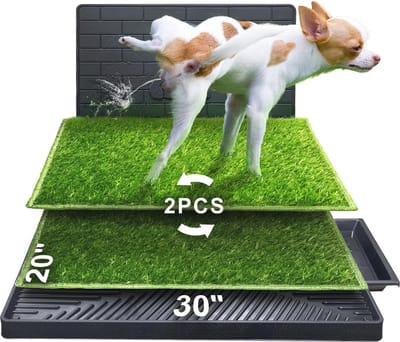 Professionele Dierenhaartrimmer voor Katten en Honden - Draadloos, Waterdicht, Met 6 Geleidekammen