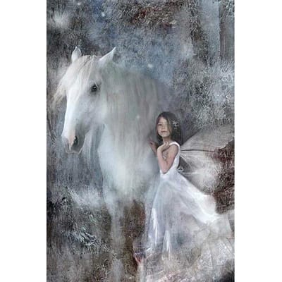 5D DIY diamant schilderij meisje en paard volledige ronde diamant borduurwerk 20X30CM gray