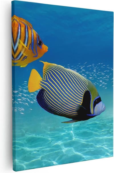 Artaza Canvas Schilderij Koraalvis - 40x50 cm - Wanddecoratie Vis - Muurdecoratie Zee - Kamer Accessoires Onderwaterwereld