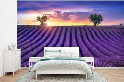Behang - Fotobehang Lavendel - Heuvels - Zonsondergang - Bpmen - Paars - Breedte 400 cm x hoogte 300 cm